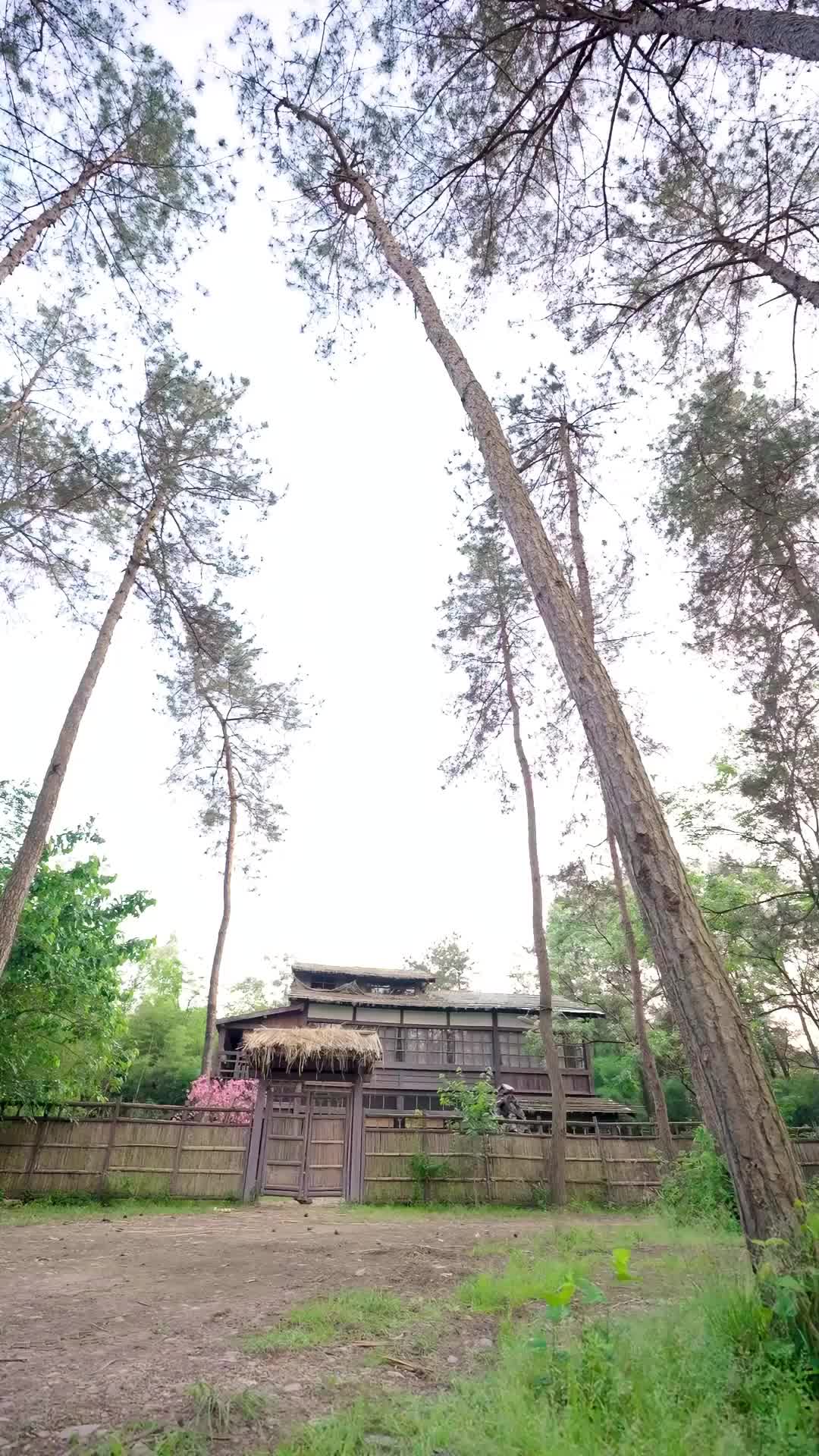 الحلقة 1 - أنا السيد الذي لا نظير له